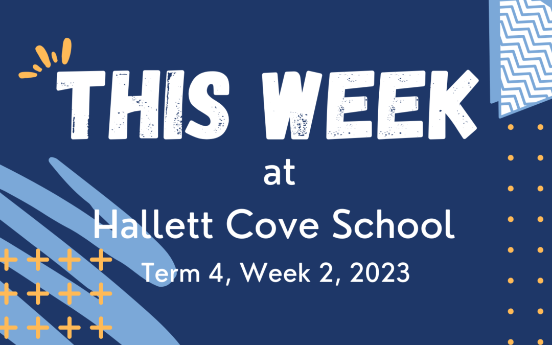 This Week at Hallett Cove School – Term 4, Week 2, 2023