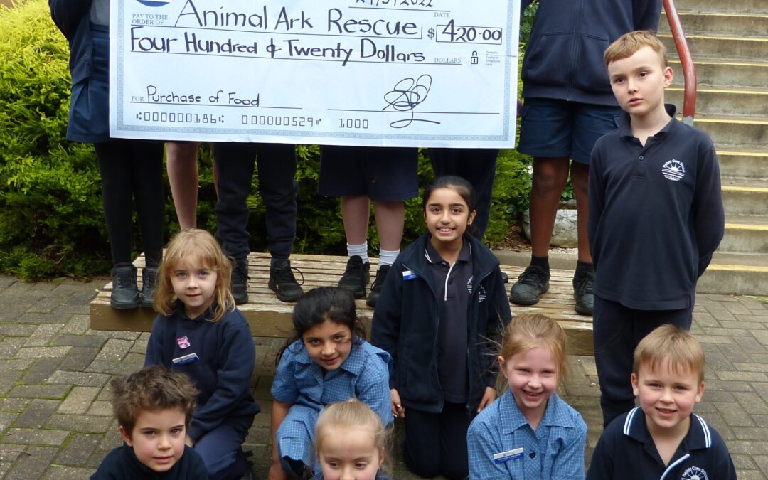 Junior School Animal Ark Fundraiser